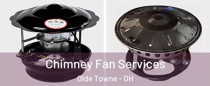Chimney Fan Services Olde Towne - OH