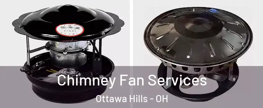 Chimney Fan Services Ottawa Hills - OH