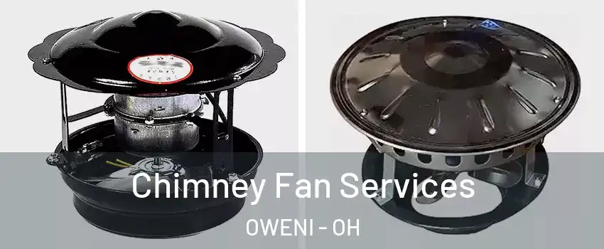 Chimney Fan Services OWENI - OH