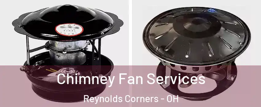 Chimney Fan Services Reynolds Corners - OH
