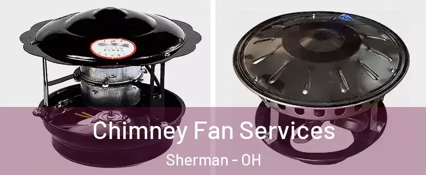 Chimney Fan Services Sherman - OH