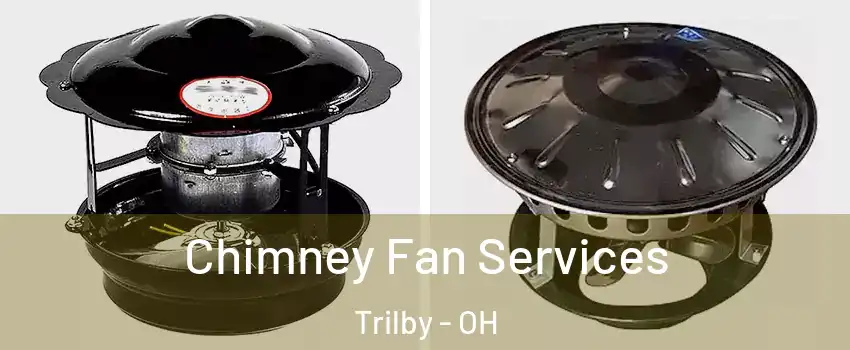 Chimney Fan Services Trilby - OH