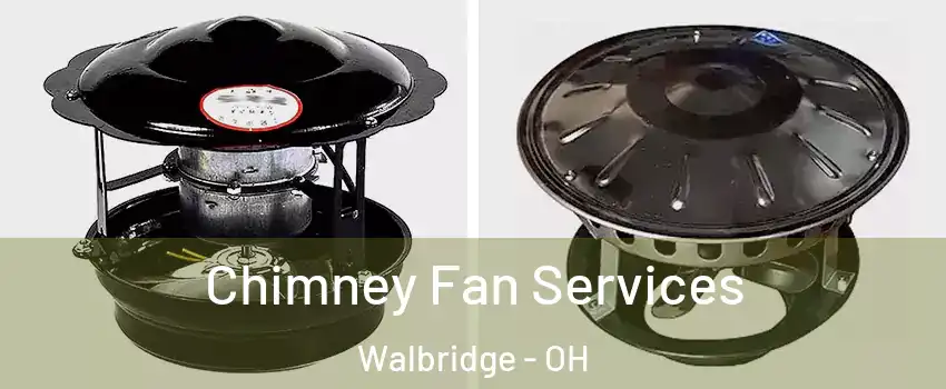 Chimney Fan Services Walbridge - OH