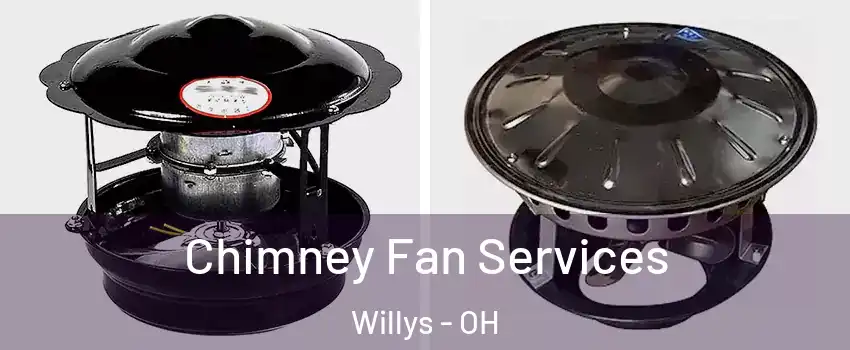 Chimney Fan Services Willys - OH