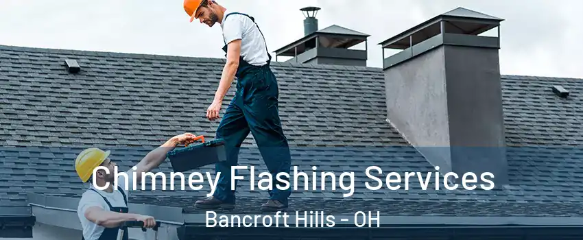 Chimney Flashing Services Bancroft Hills - OH