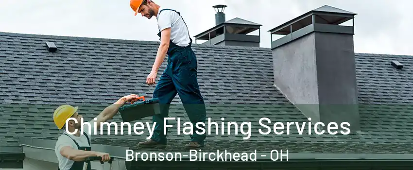 Chimney Flashing Services Bronson-Birckhead - OH