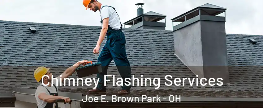 Chimney Flashing Services Joe E. Brown Park - OH