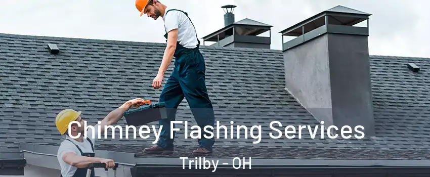 Chimney Flashing Services Trilby - OH