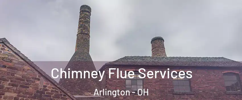 Chimney Flue Services Arlington - OH