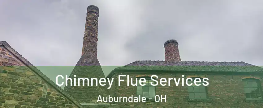 Chimney Flue Services Auburndale - OH