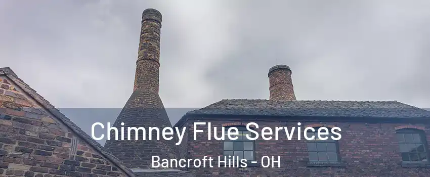 Chimney Flue Services Bancroft Hills - OH