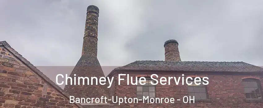 Chimney Flue Services Bancroft-Upton-Monroe - OH