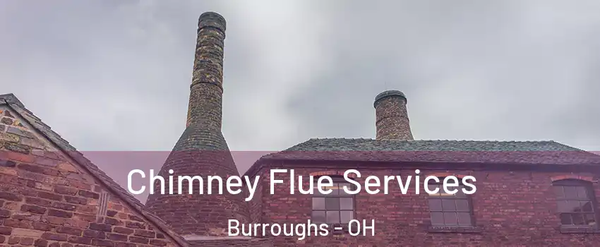 Chimney Flue Services Burroughs - OH