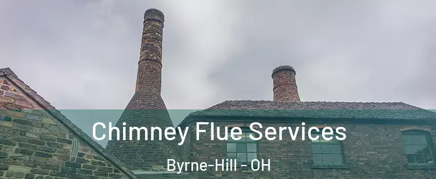Chimney Flue Services Byrne-Hill - OH