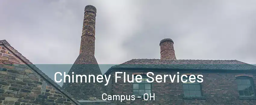 Chimney Flue Services Campus - OH