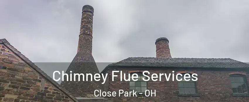 Chimney Flue Services Close Park - OH