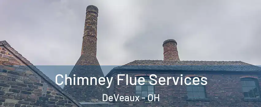 Chimney Flue Services DeVeaux - OH
