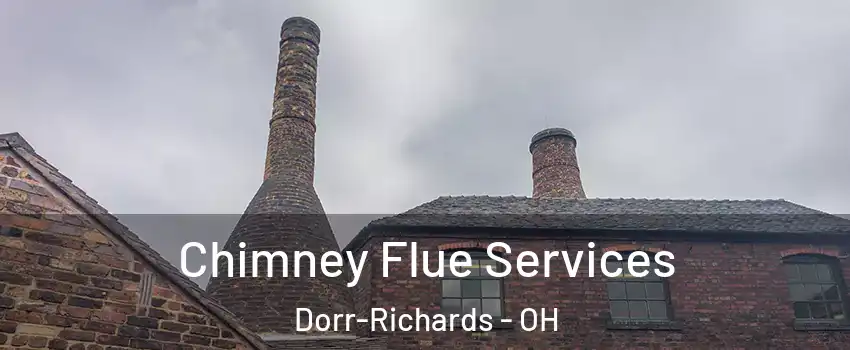 Chimney Flue Services Dorr-Richards - OH