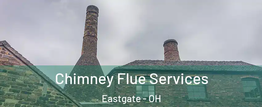 Chimney Flue Services Eastgate - OH