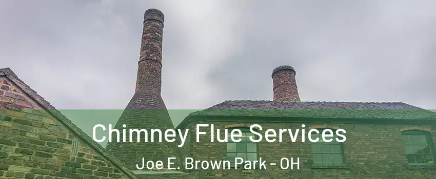 Chimney Flue Services Joe E. Brown Park - OH