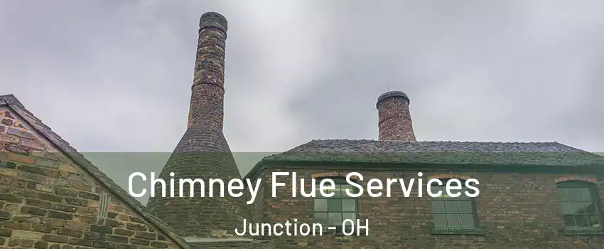 Chimney Flue Services Junction - OH