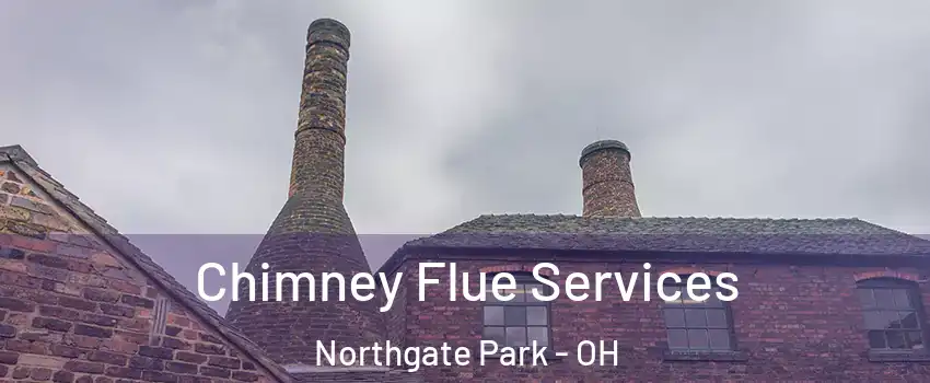 Chimney Flue Services Northgate Park - OH