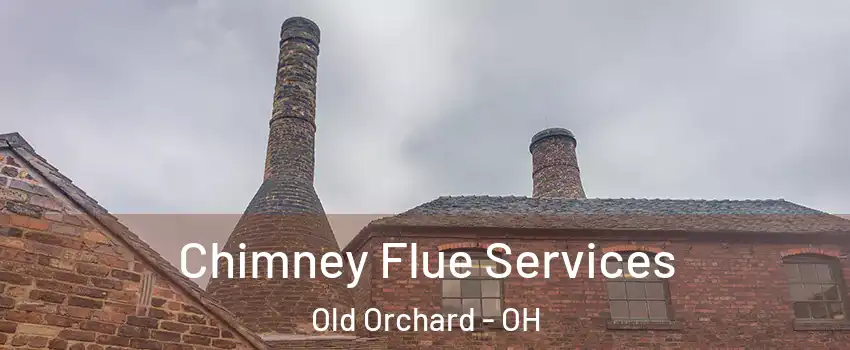 Chimney Flue Services Old Orchard - OH