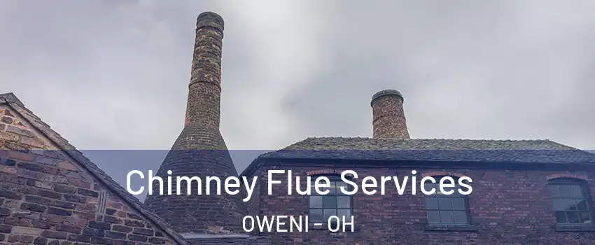 Chimney Flue Services OWENI - OH