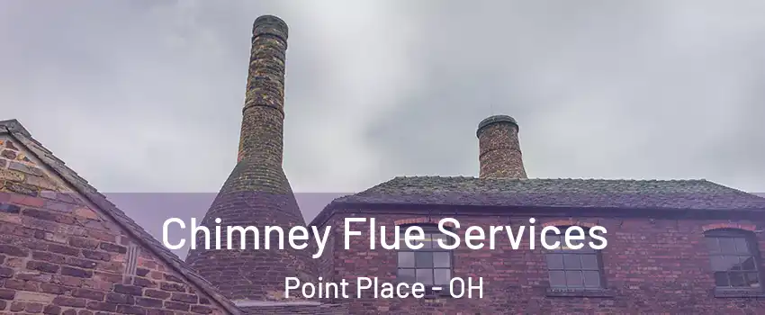 Chimney Flue Services Point Place - OH