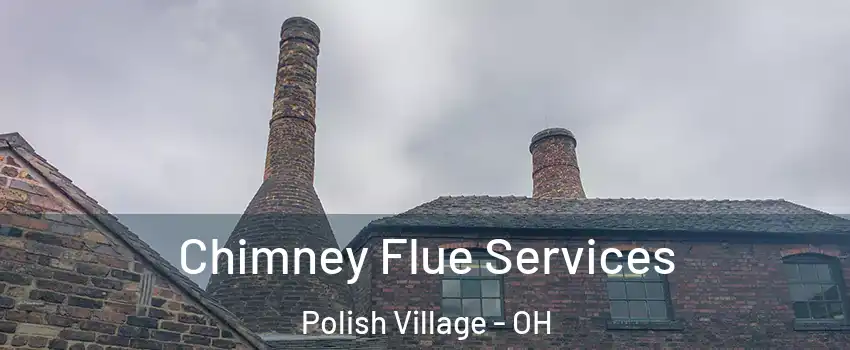 Chimney Flue Services Polish Village - OH