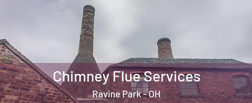 Chimney Flue Services Ravine Park - OH