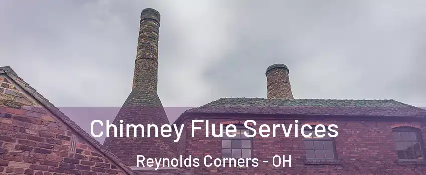 Chimney Flue Services Reynolds Corners - OH