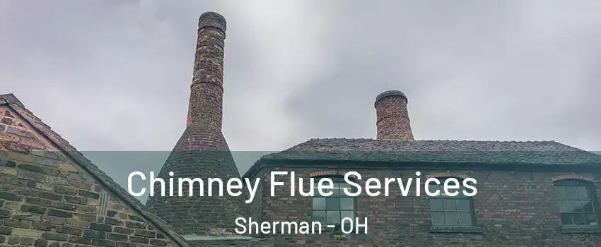 Chimney Flue Services Sherman - OH