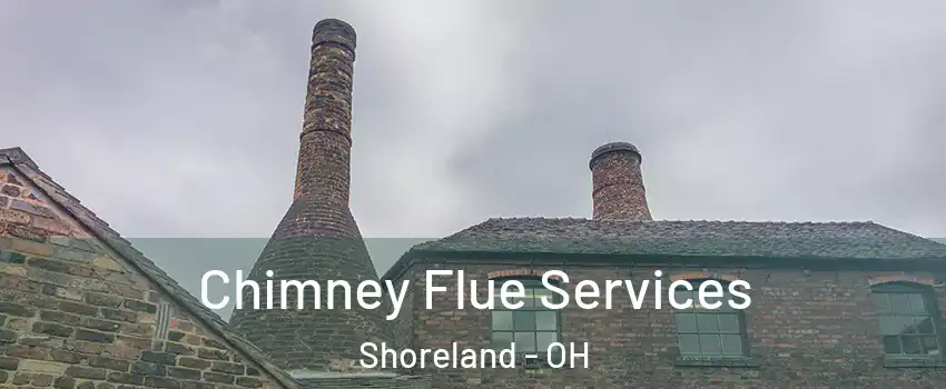 Chimney Flue Services Shoreland - OH