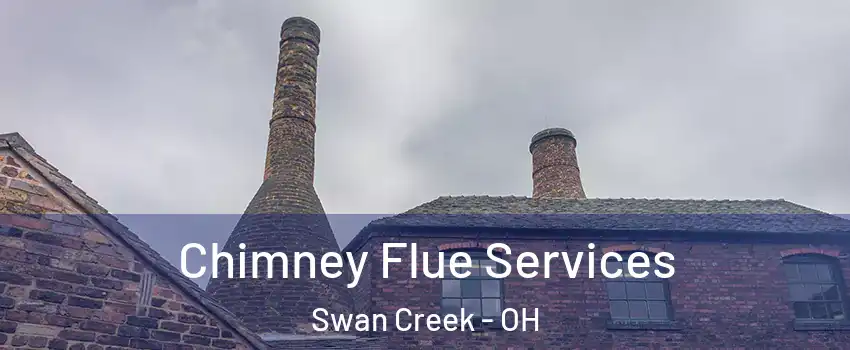 Chimney Flue Services Swan Creek - OH