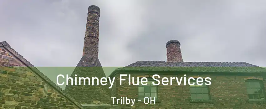 Chimney Flue Services Trilby - OH