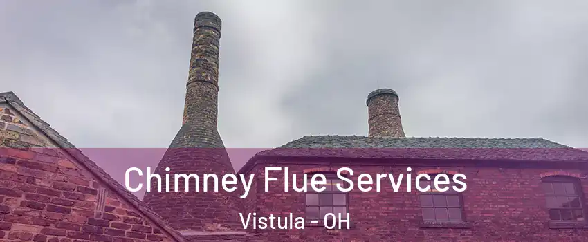 Chimney Flue Services Vistula - OH