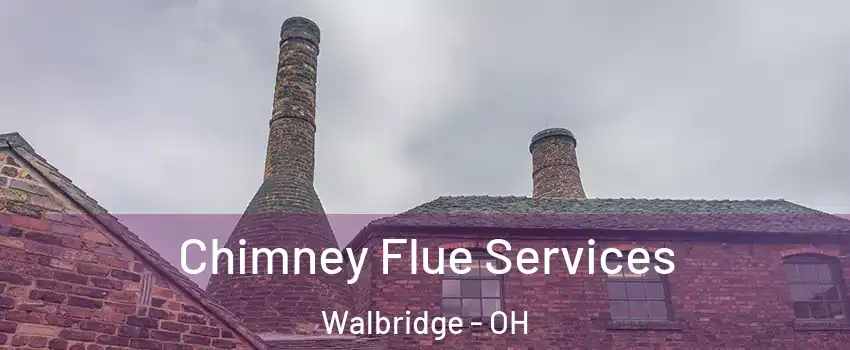 Chimney Flue Services Walbridge - OH