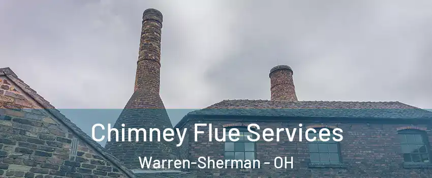 Chimney Flue Services Warren-Sherman - OH