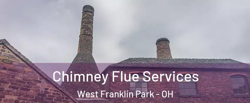 Chimney Flue Services West Franklin Park - OH