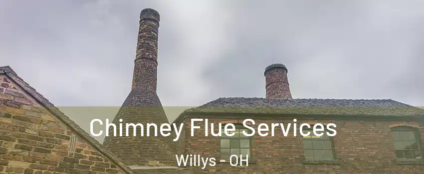 Chimney Flue Services Willys - OH