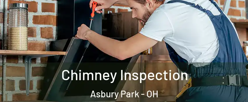 Chimney Inspection Asbury Park - OH