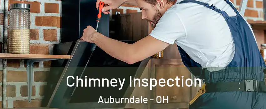 Chimney Inspection Auburndale - OH