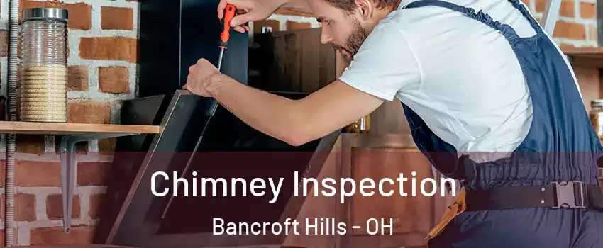 Chimney Inspection Bancroft Hills - OH