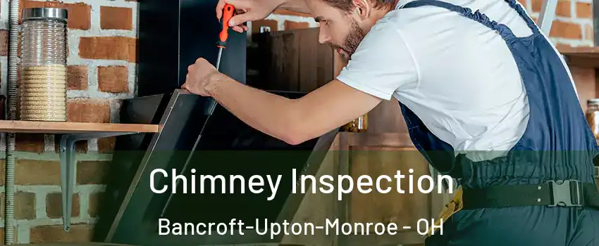 Chimney Inspection Bancroft-Upton-Monroe - OH