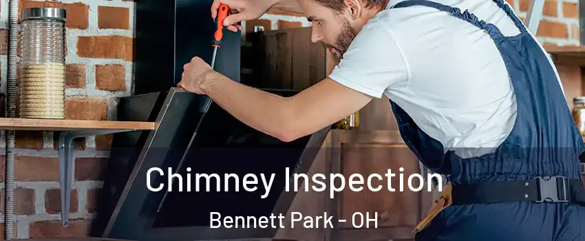 Chimney Inspection Bennett Park - OH