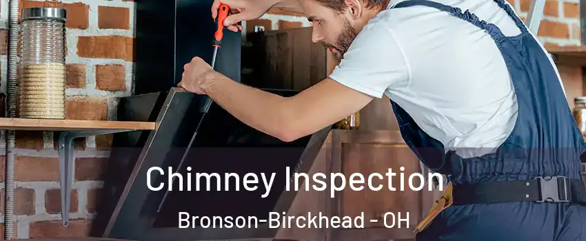Chimney Inspection Bronson-Birckhead - OH