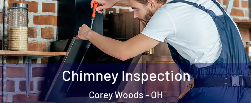 Chimney Inspection Corey Woods - OH