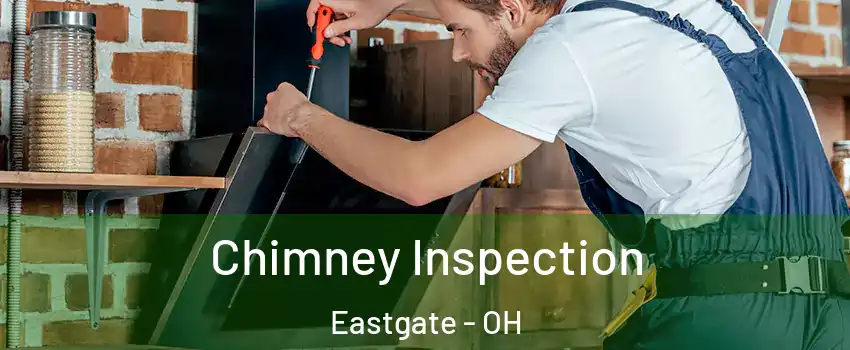 Chimney Inspection Eastgate - OH
