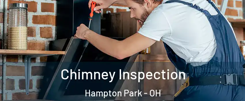 Chimney Inspection Hampton Park - OH